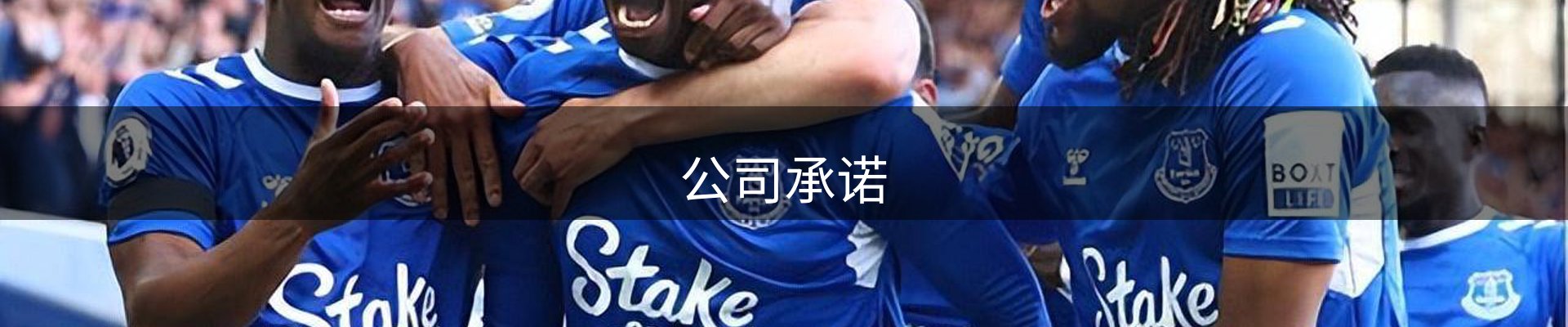 公司承诺