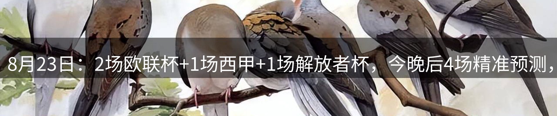 新闻导览